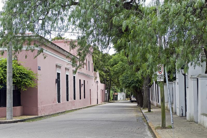 20071201_141829  D200 3900x2600.jpg - San Isidro goes back to 1580 and is a residential area with streets shaded by trees